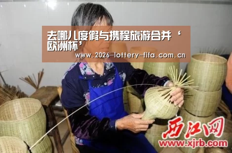 去哪儿度假与携程旅游合并‘欧洲杯’(图2) 世界杯
